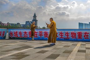 公众放流活动（24））