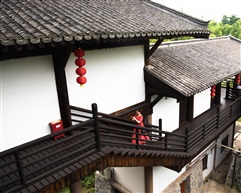 林园（3）