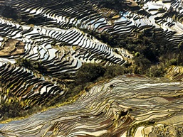 云南三月行之六十四《元阳黄草岭云海梯田》