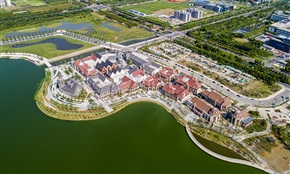 《大渔湾新貌》