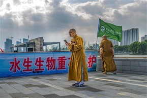 公众放流活动（28））