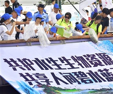 《公众放流》【5】