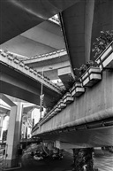 《水泥丛林》
