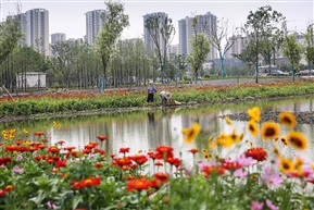 美丽高新