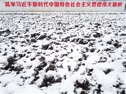 田地里