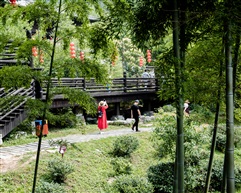 林园（2）