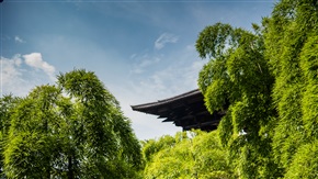 林园（1）