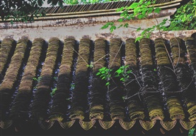 屋顶