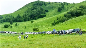 《大草原停车场》
