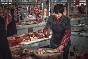 鲜肉市场