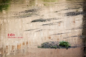 河水东流