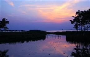 夕阳醉了