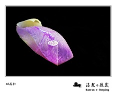 蜓荷韵