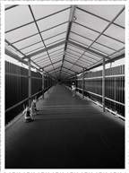 虹桥机场走廊
