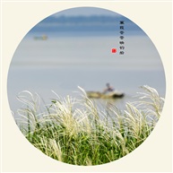 蒹葭苍苍映钓船
