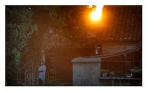夕阳随拍