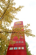 美丽加油站