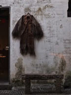 一蓑一凳