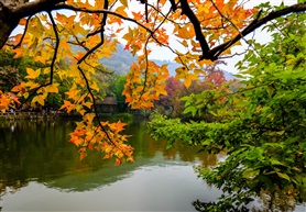 天平山秋色