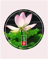 荷香