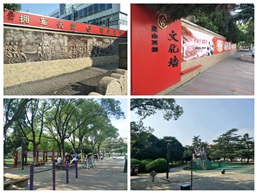 绿色福利 家园共建