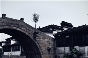 沙溪古镇一角