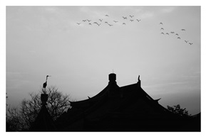 动与静
