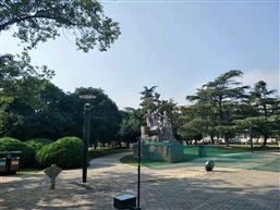 绿色福利 家园共建