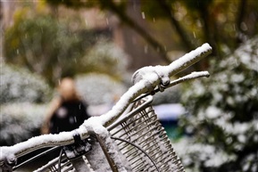 初雪1