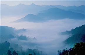 深山寒雾起