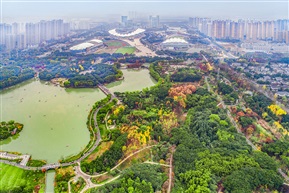 森林公园湿地（2）