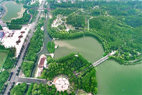森林公园湿地（3）