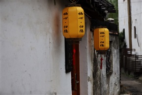 栖心。归隐