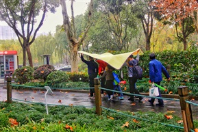 森林公园一角“躲雨”