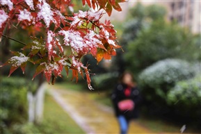 初雪2