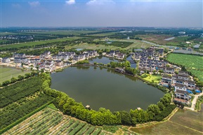 美丽乡村（7）