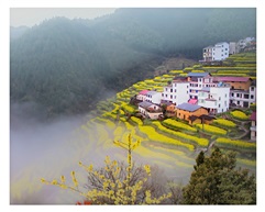 春满园