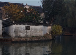 柿子成熟时