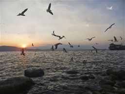 难忘的清晨之洱海日出