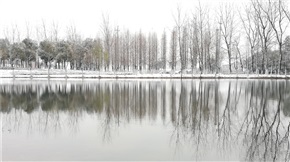 初雪