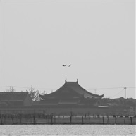 比翼