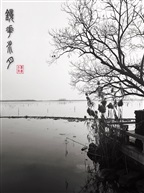 镜花水月