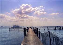 莲花岛好风光