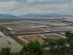 石浦印象