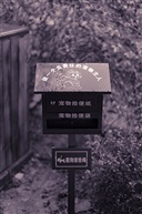 做有责任心的宠物主人
