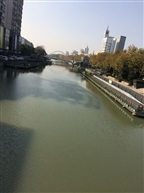濯缨何必泛沧浪