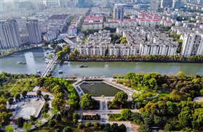 《樾河两岸》娄邑段