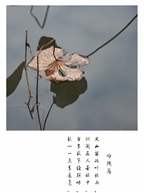残荷