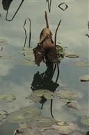 残荷