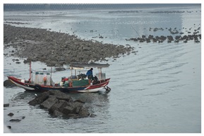 出海